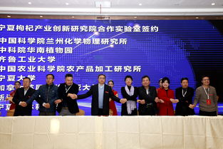 寧夏中寧枸杞產(chǎn)業(yè)創(chuàng)新研究院項目發(fā)布簽約暨學(xué)術(shù)交流會成功舉辦，工商事務(wù)代理助力產(chǎn)業(yè)發(fā)展