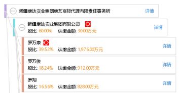 新疆康達實業(yè)集團康藝商標代理有限責任事務(wù)所 專業(yè)工商事務(wù)代理服務(wù)